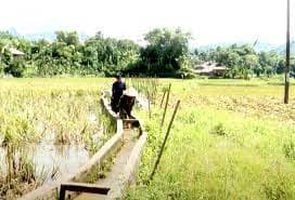 Is it possible for employees to take leave while they are on unpaid leave?