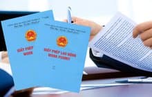 14 cases not subject to work permit