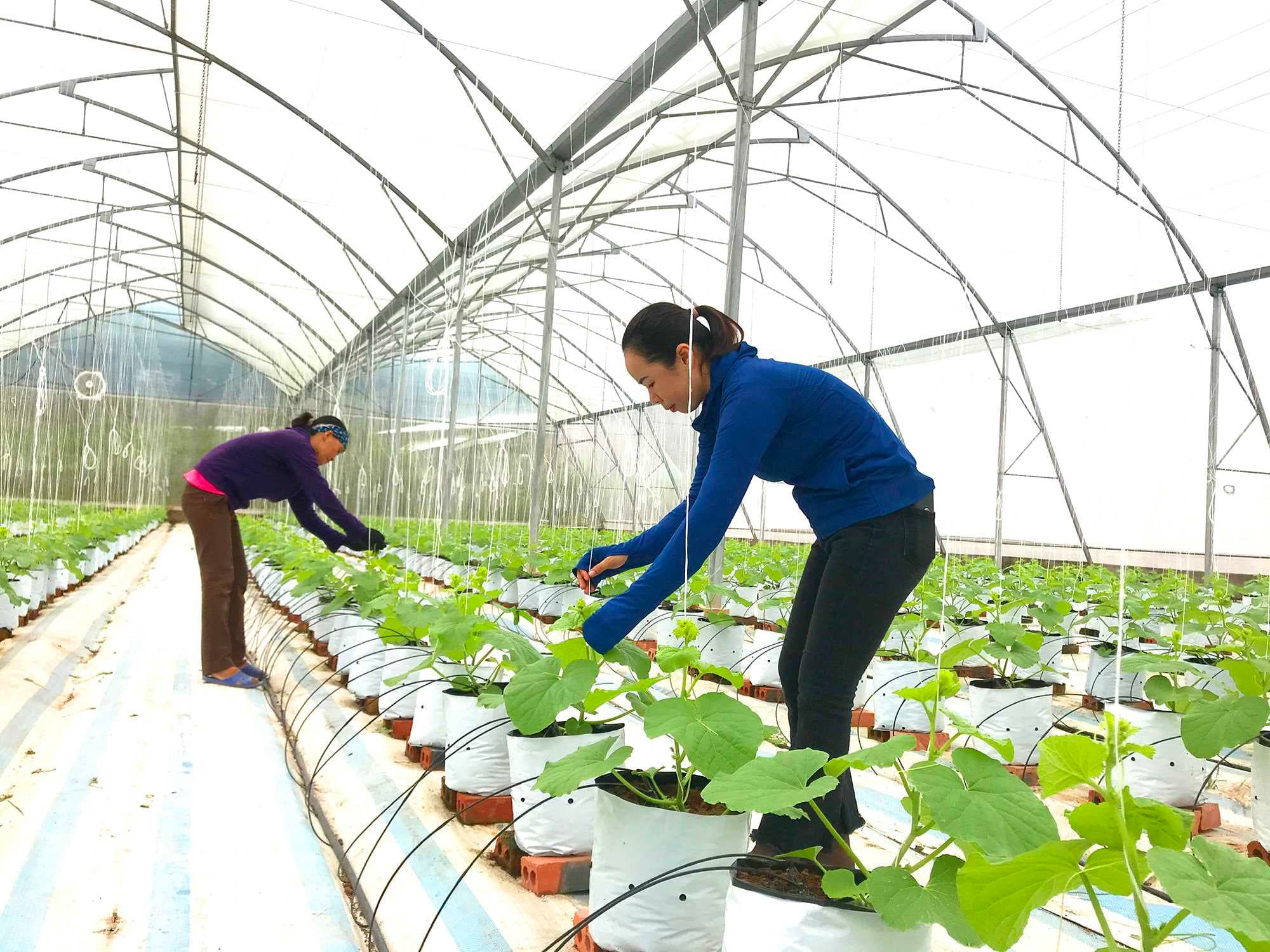 Accelerating the green transition