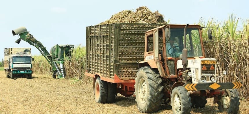 Sweet time for sugar firms