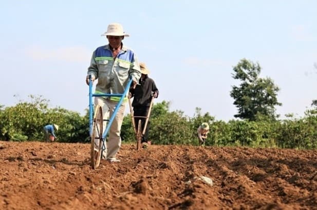 Business households are granted an extension of the deadline for tax payment and land rental fees.