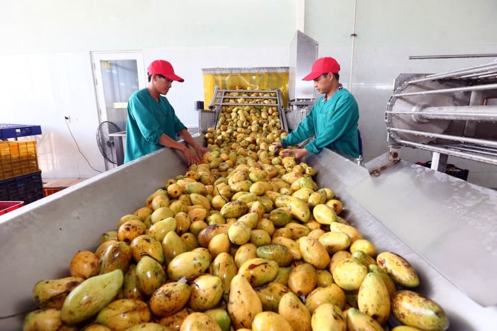 Facilitating Agricultural Exports