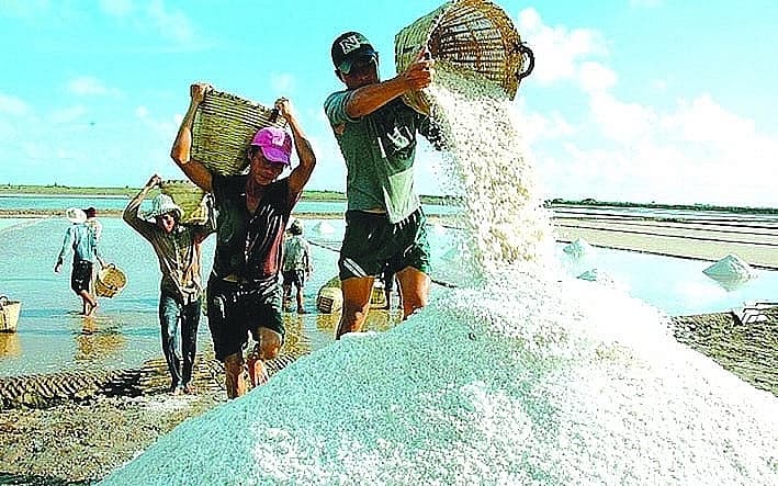 Lots of potential for salt export