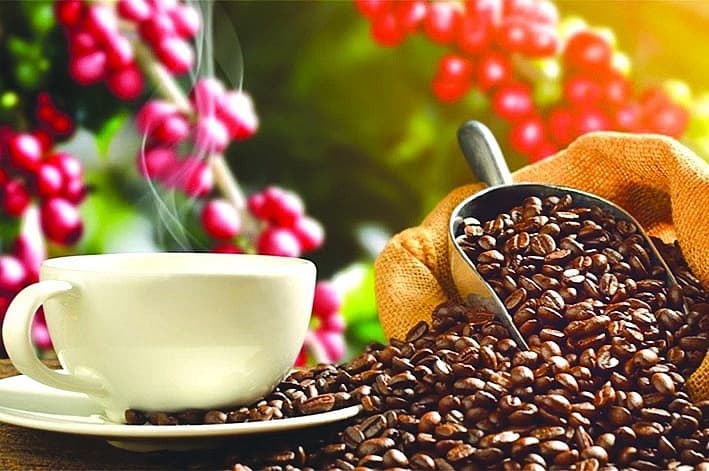 Coffee exports set to break record