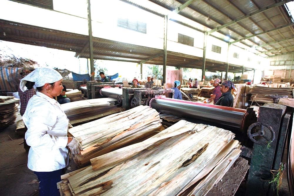 Businesses craving tax refund