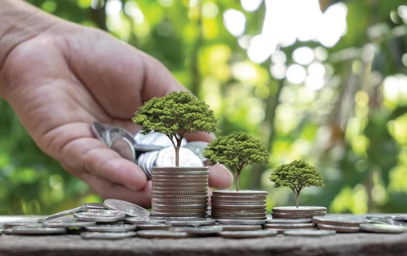 Solutions for expanding green credit