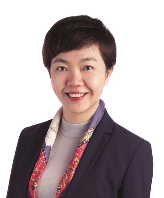 Hong Kong to help elevate Việt Nam