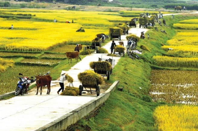 Making Rural Areas More Livable