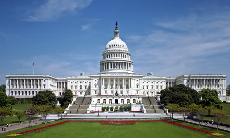 US dollar will remain volatile