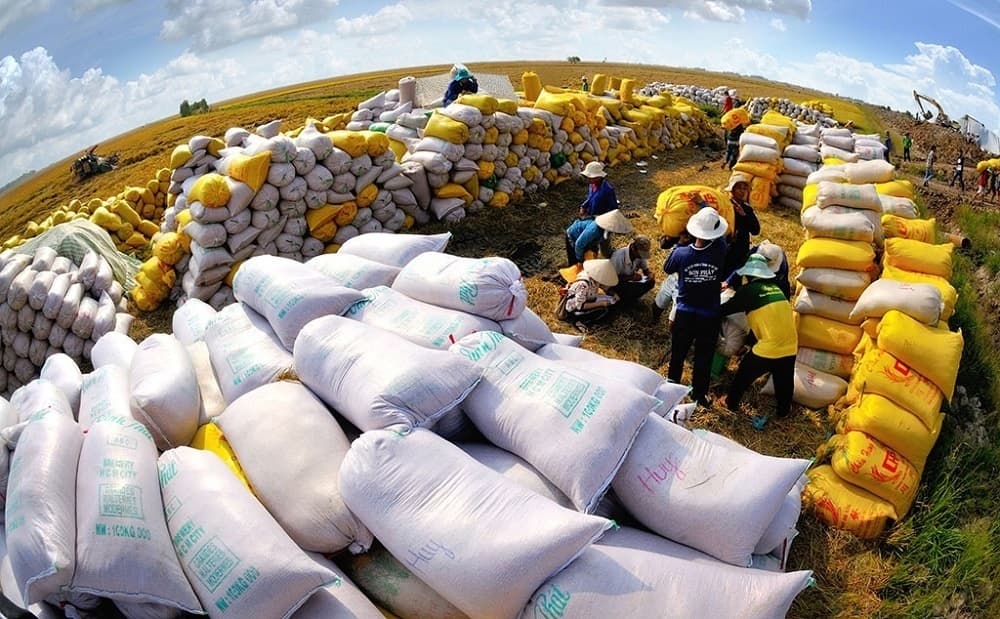 Bustling rice export