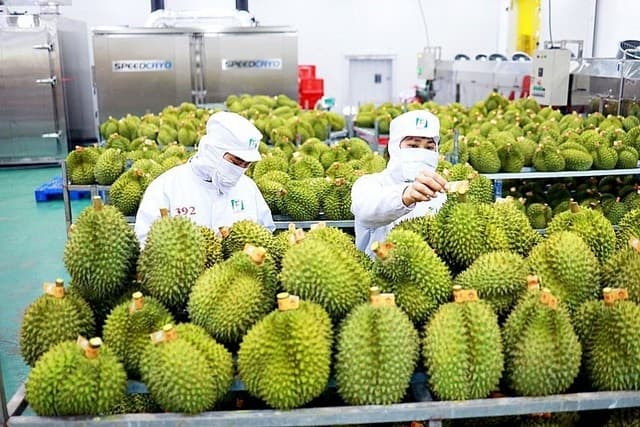 Trade Volume Exceeds US$600 Billion