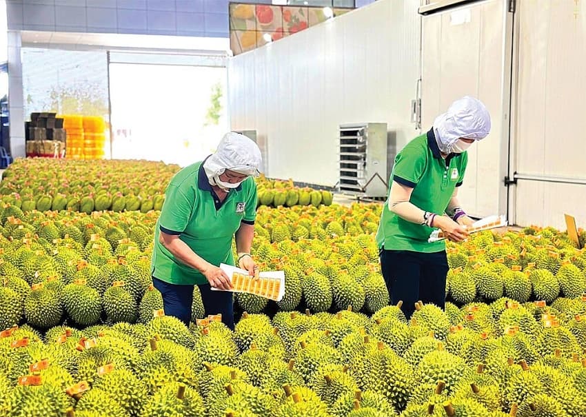 Benefits ahead in ASEAN-China deal