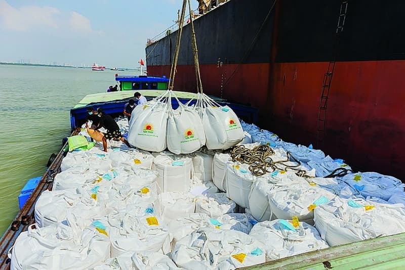 Linking Vietnamese rice exports