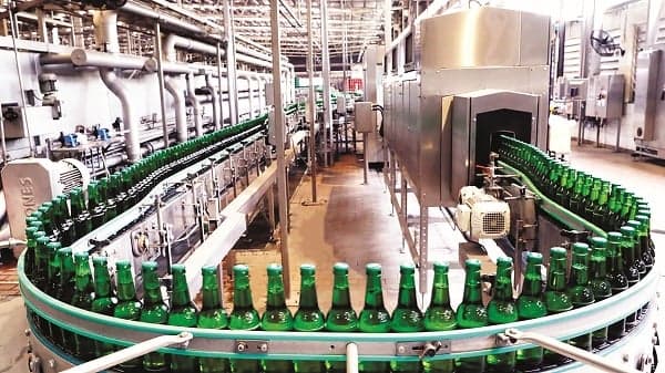 A gloomy year for the beer industry