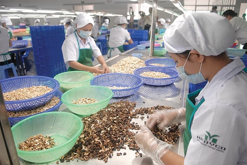 CPTPP gains to be built on expansion