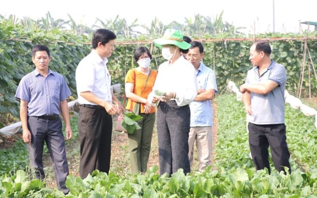 Hanoi Continues to Support Farmers