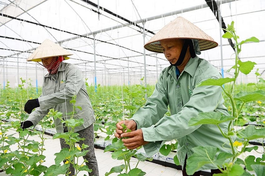 Low-carbon answers reach agriculture