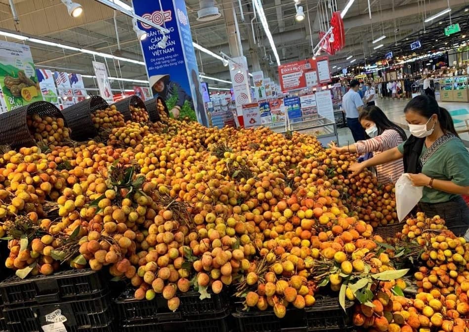 Bac Giang lychees: Story of success