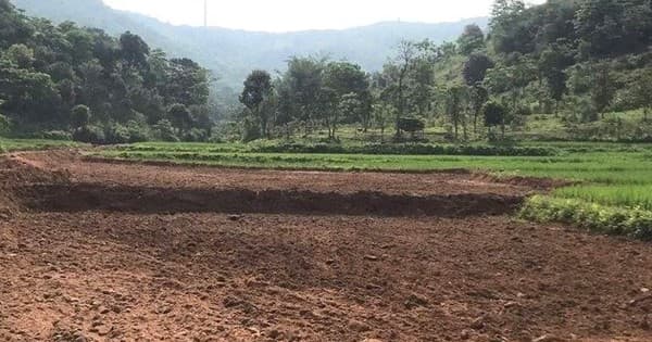 The local authorities issued guidelines on agricultural land improvement and development?