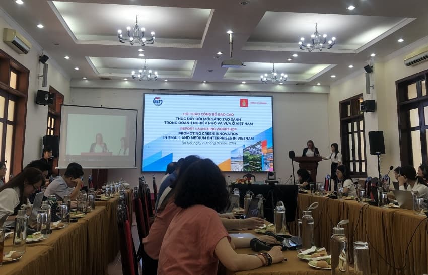 Promoting green innovation in SMEs