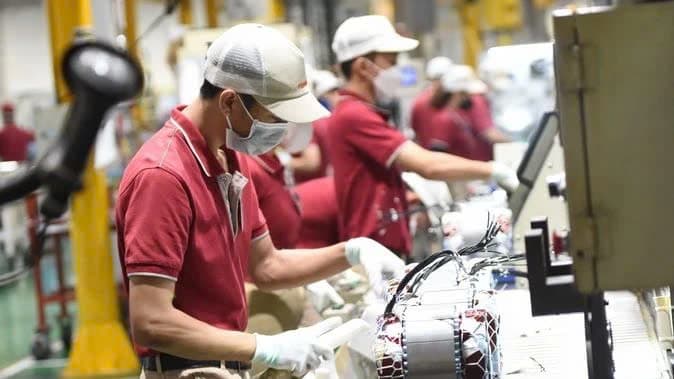 Dong Nai sees large FDI inflows