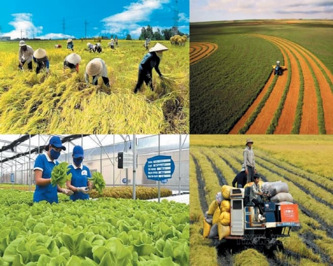 Advancing Sustainable Agriculture