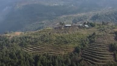  National Forestry Planning announced