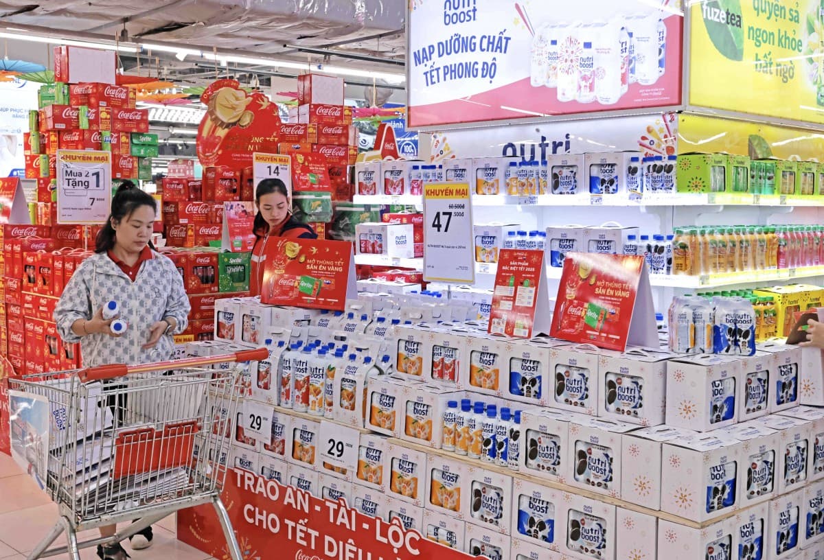 Strong growth in the domestic market