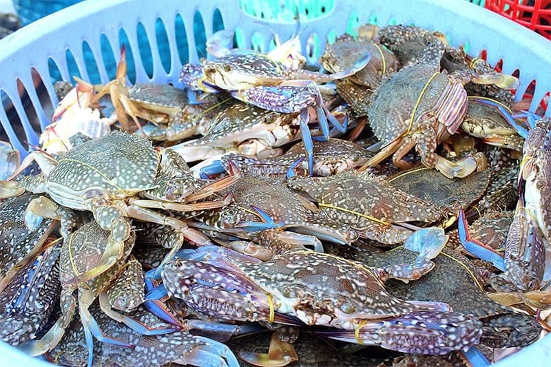 Vietnam's crab exports up 86 per cent