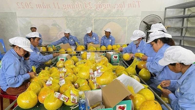 Hoa Binh boosts agricultural exports