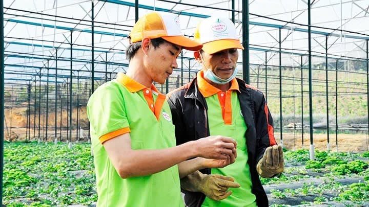 Promoting green startups