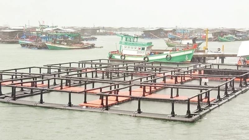 Marine farming in Ganh Dau