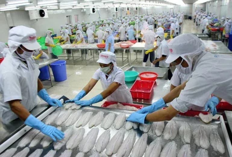 Vietnam’s seafood exports to US expected to rise ahead of new tariffs