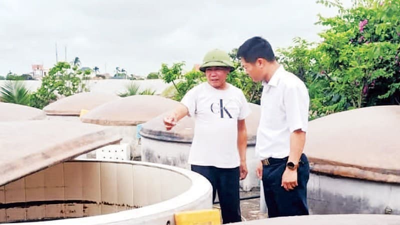 Revival of land at the edge of sea