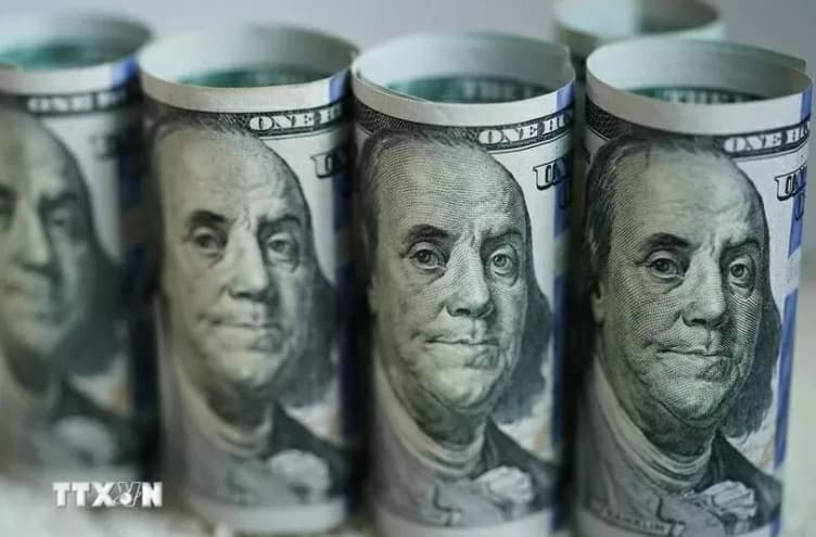Reference exchange rate at 25,121 VND, up 8 VND on July 8