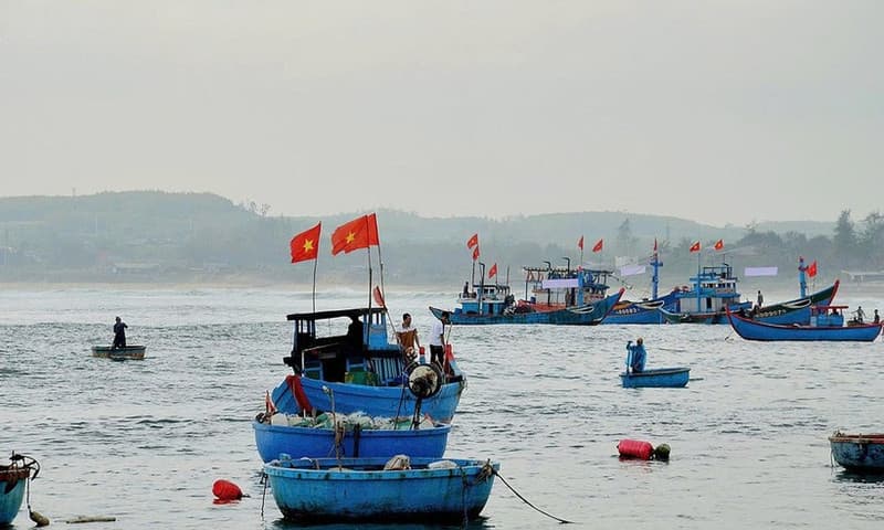 Resolutely removing IUU "yellow card"