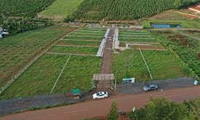 Do foreign-owned enterprises have to apply for a license to set up a retail establishment?