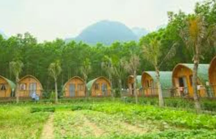 Procedures for approving a multi-purpose land use plan