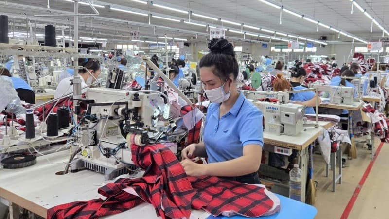 Enterprises strive to expand markets