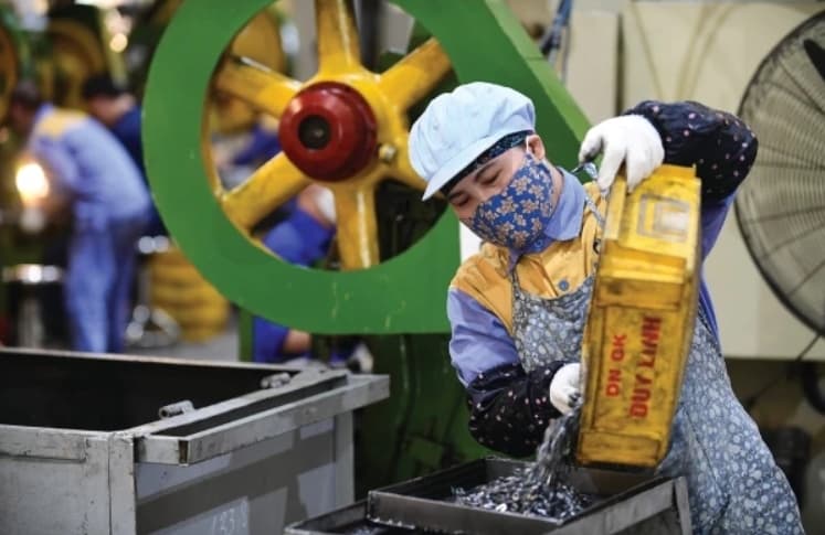 VCCI: Many regulations on supporting the private economy need to be clarified