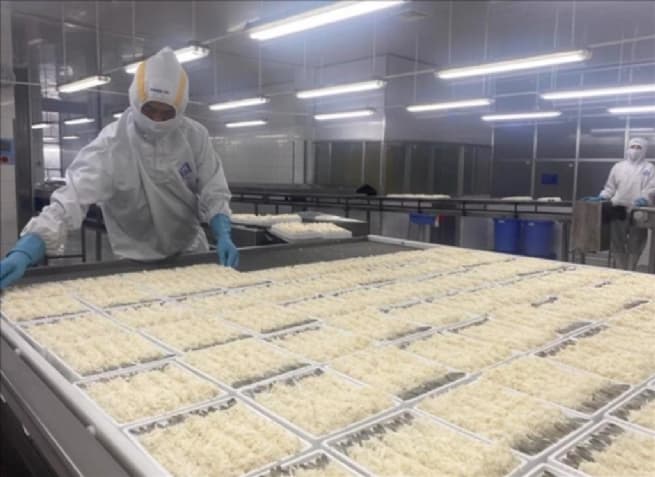 Can Tho Likely to Lead Vietnam’s Shrimp Exports for the First Time