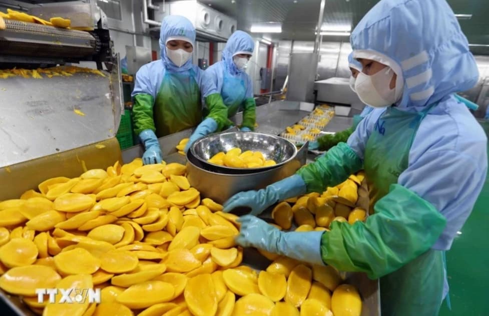 US website highlights Vietnam's impressive economic growth