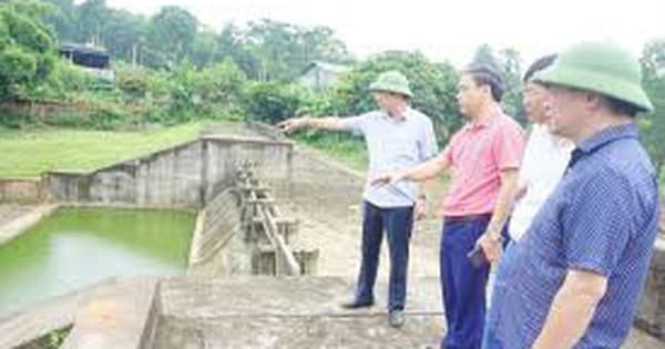 Limit for bidding for repair and maintenance packages of irrigation works