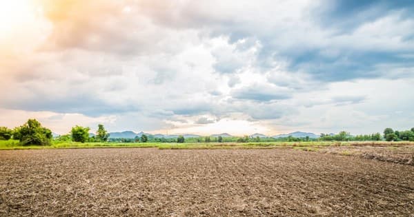 Agricultural land without Certificate, how to compensate?