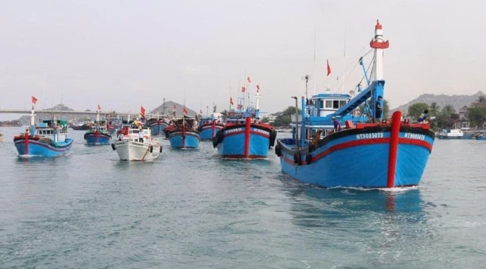 Viet Nam takes urgent measures to strengthen fisheries management