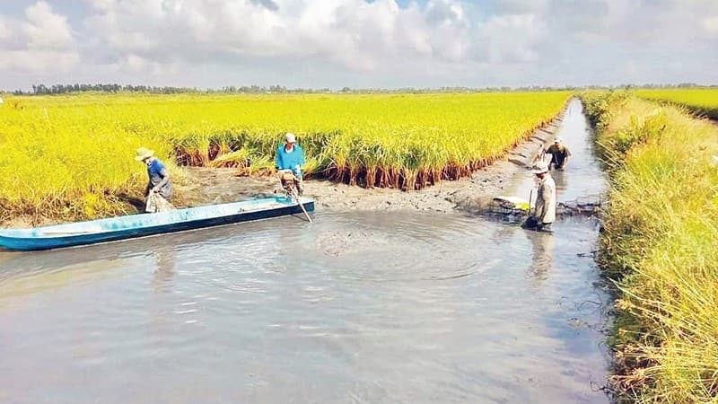 Enriching from land and water