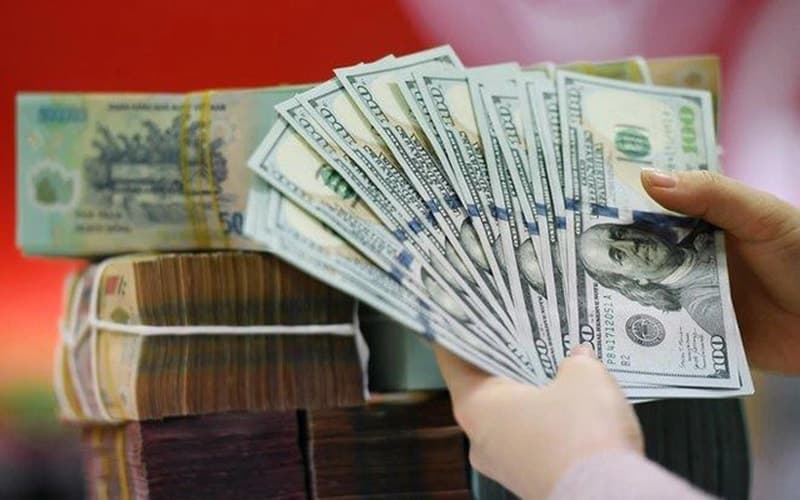 How the exchange rates impact profit margins across sectors