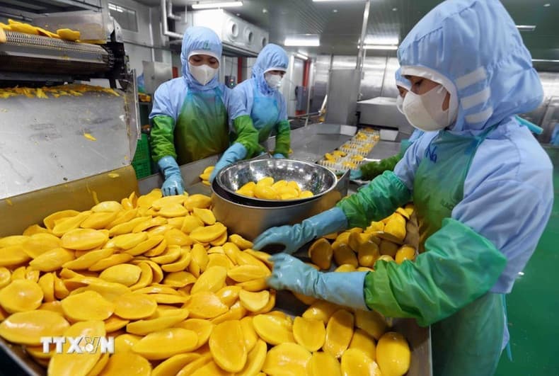Viet Nam strives to lay the foundation for sustainable growth in Q4