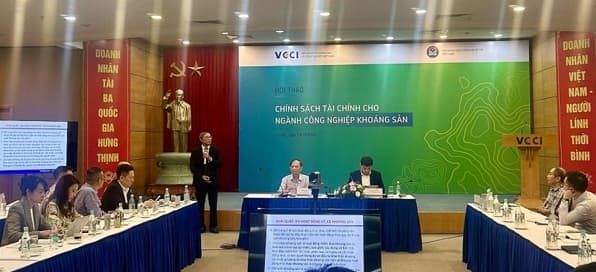 Comments on improving financial policies for mineral exploitation