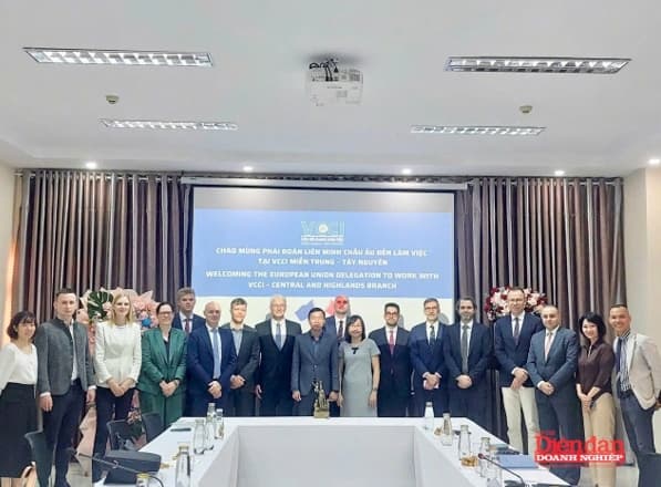 VCCI Central Highlands - Central Region works with the European Union Delegation